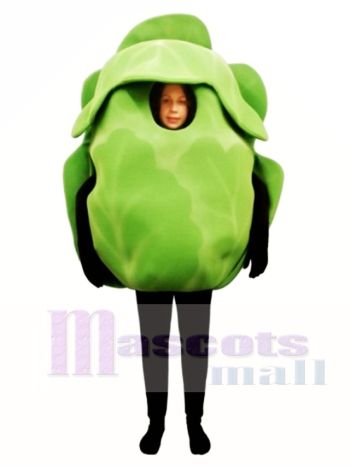 Eisberg Salat Maskottchen Kostüm Gemüse