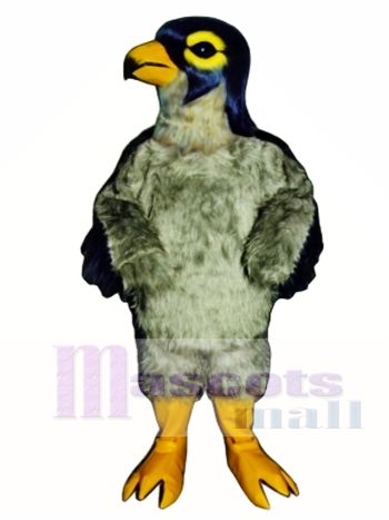Niedlich Falke Maskottchen Kostüm