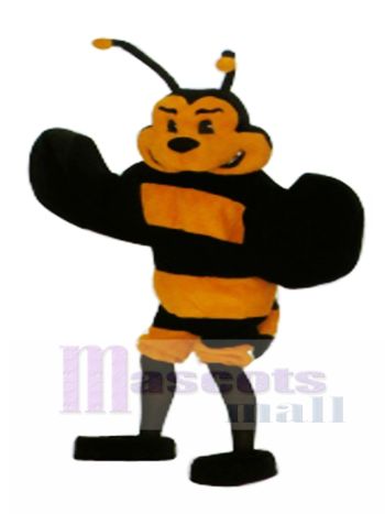 Biene Maskottchen Kostüm