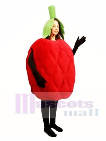 Himbeer Maskottchen Kostüm Obst