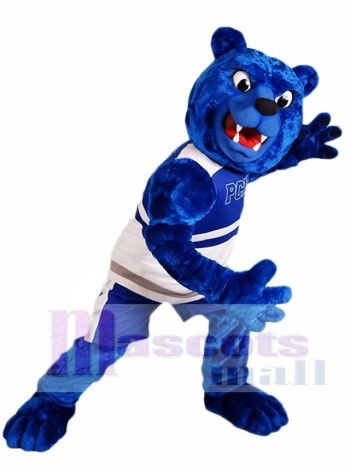 königlich Blau Bär Maskottchen Kostüm Pelz Maskottchen Kostüme