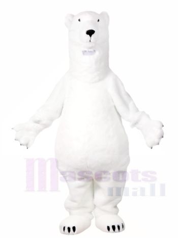 Weiß Eisbär Maskottchen Kostüme Tier