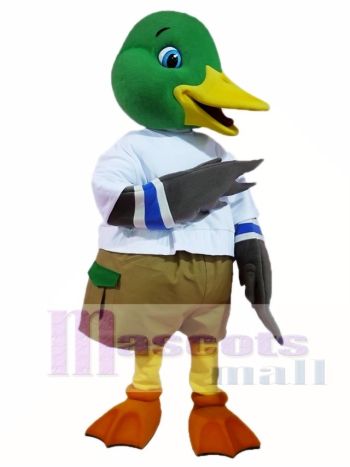 Stockente Wild Ente Maskottchen Kostüme Geflügel