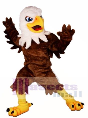 Weißer Kopf Braun Adler Maskottchen Kostüme Falcon