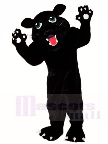Schwarz Panther Maskottchen Kostüme Tier 
