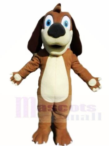 Braun Hündchen Hund Tier