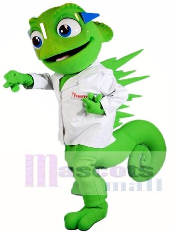 Chamäleon Maskottchen Kostüme Lizard Iguana