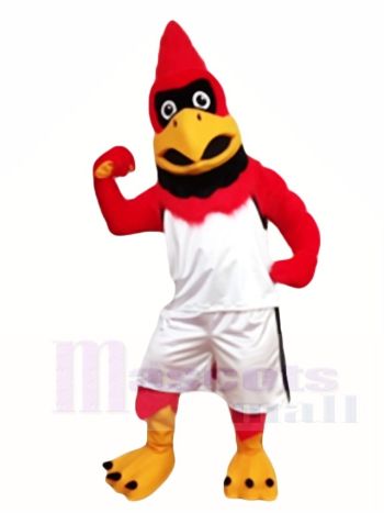 Kardinal rot Vogel Maskottchen Kostüme Tier