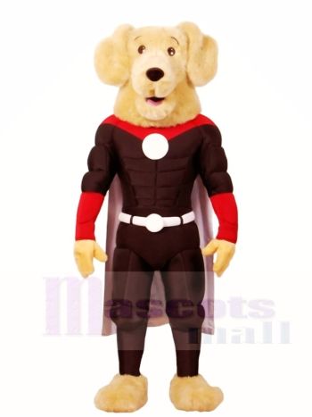 Ein Retriever Hund Super Hero Maskottchen Kostüme Tier