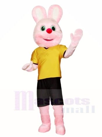 Rosa Hase Maskottchen Kostüme Osterhase Tier