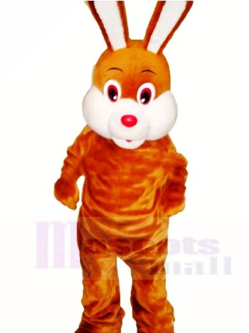 Braun Ostern Hase Maskottchen Kostüme Tier