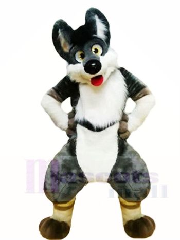 Grau Husky Hund Fursuit Maskottchen Kostüme Tier