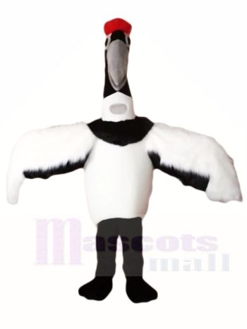 Rot gekrönt Manchurischer Kranich Grus Japonensis Maskottchen Kostüme Tier