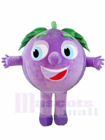 Lila Trauben Maskottchen Kostüme Obst Pflanze
