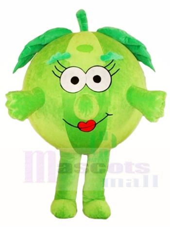 Grüne Wassermelone Maskottchen Kostüme Frucht