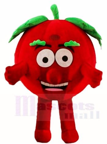 glücklich Tomate Maskottchen Kostüme Pflanze