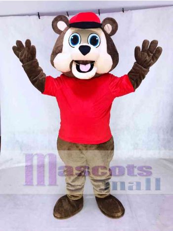 Minnesota Zwillingsstädte T.C. Bär MLB Braun Bär mit Hut Maskottchen Kostüm Tier
