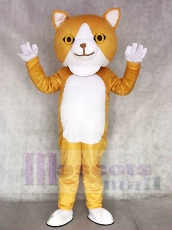 glücklich Katze Maskottchen Erwachsene Kostüme Tier