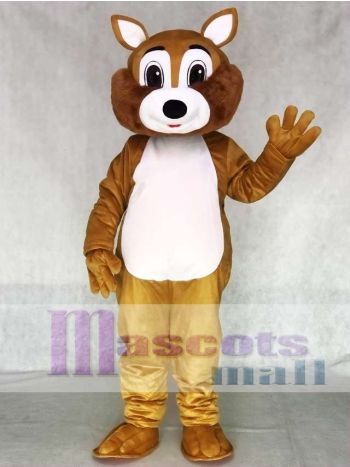 Erwachsene Eichhörnchen Maskottchen Kostüm mit weißem Bauch Tier