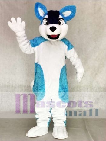Blauer Husky Hund Fursuit Maskottchen Kostüm Tier
