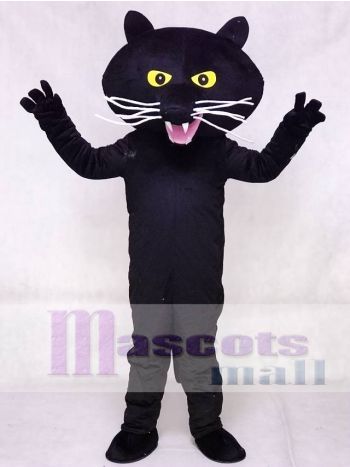Schwarz Panther Maskottchen Kostüm