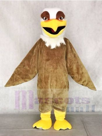 Heftiger weißer Kopf Braun Hawk Falcon Eagle Maskottchen Kostüme