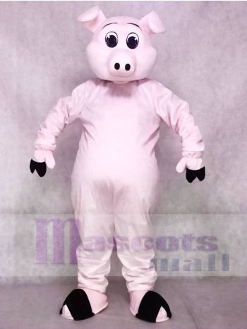 Nettes Schweine Ferkel Schwein Maskottchen Kostüme Tier