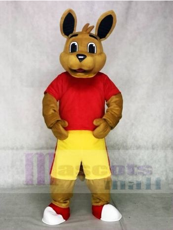 rot Hemd Känguru Maskottchen Kostüme Tier