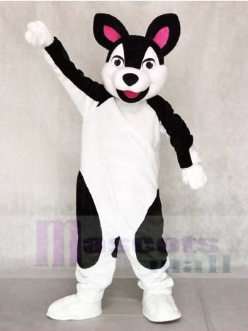 Schwarz und Weiß Heiser Hund Maskottchen Kostüme Tier 