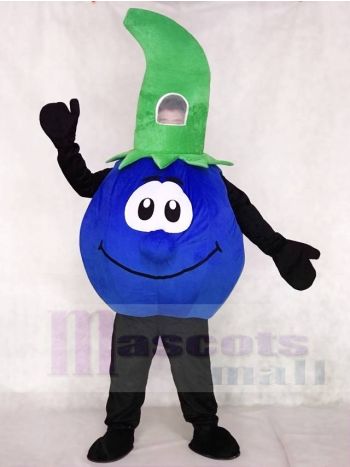 Bobby Blueberry Maskottchen Kostüme Pflanzen Obst