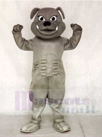 Gray Bulldog Maskottchen Kostüme Tier