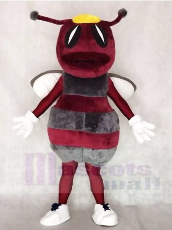 Kastanienbraun mit Grau Hornissen Bienen Maskottchen Kostüme Tier