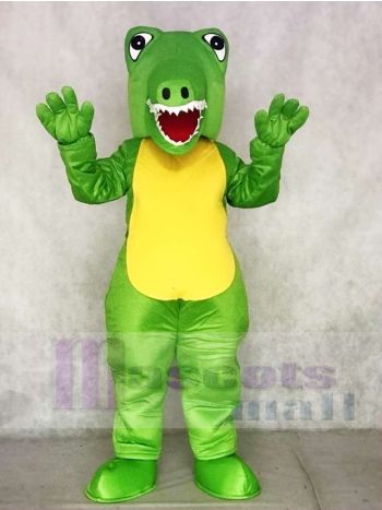 Grünes Krokodil Maskottchen Kostüme Tier