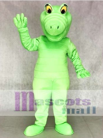 Grün Albert Alligator Maskottchen Kostüme Tier