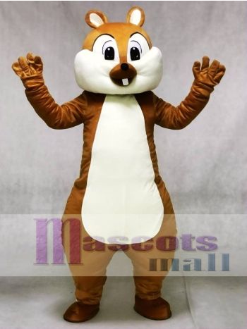 Niedlich Eichhörnchen Maskottchen Kostüme Wald Tier