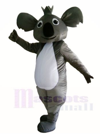 Koala Bär Maskottchen Kostüme Tier
