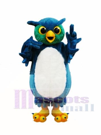 Blaue und grüne Eulen Maskottchen Kostüme