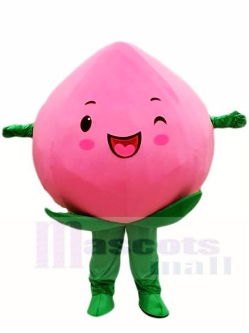 Rosa Pfirsich Maskottchen Kostüme Obst Essen