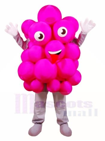 Rosa Trauben Maskottchen Kostüme Obst