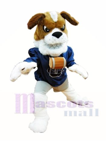 Bernhardiner Maskottchen Kostüm Brown Hunde Maskottchen Kostüme