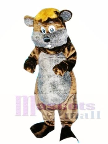 Streifenhörnchen Maskottchen Kostüm