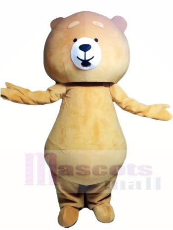 Braun Teddybär Maskottchen Kostüme Tier