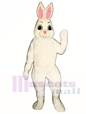 Ostern Hase Maskottchen Kostüm