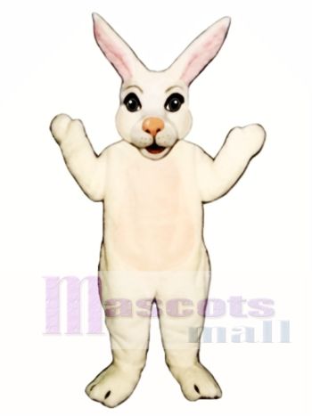 Ostern Herr Hase Maskottchen Kostüm