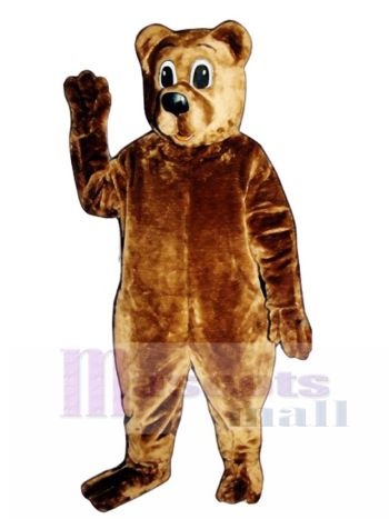 Pa Bär Maskottchen Kostüm