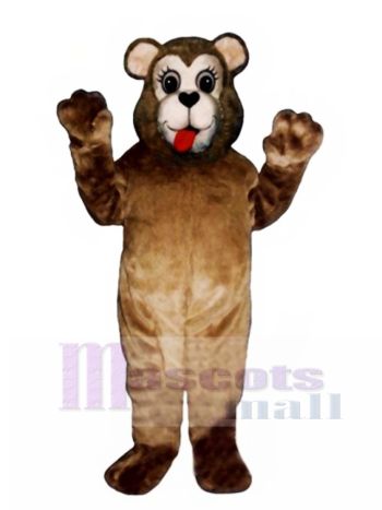 Neues Schatz Bärn Maskottchen Kostüm