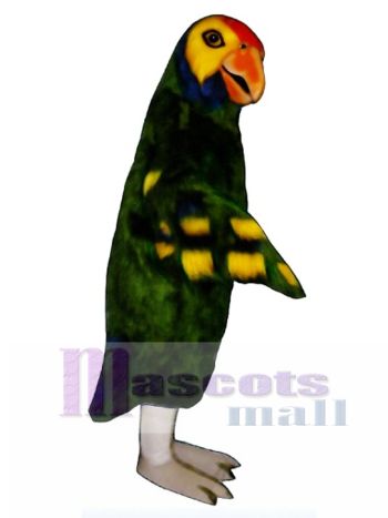 Nettes Papageien Maskottchen Kostüm
