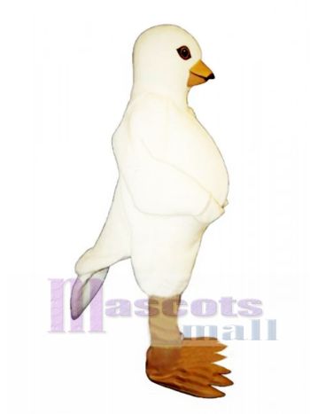 Süße Taube Maskottchen Kostüm