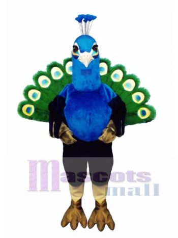 Nettes Pfau Maskottchen Kostüm
