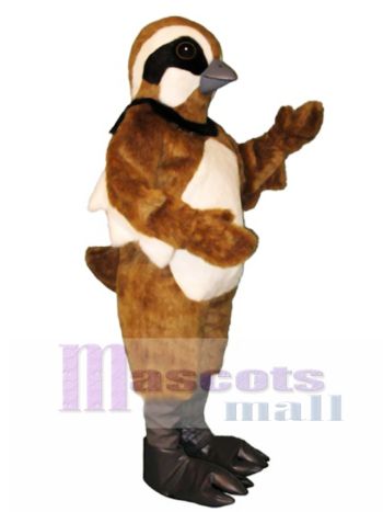 Nettes Wachtel Maskottchen Kostüm